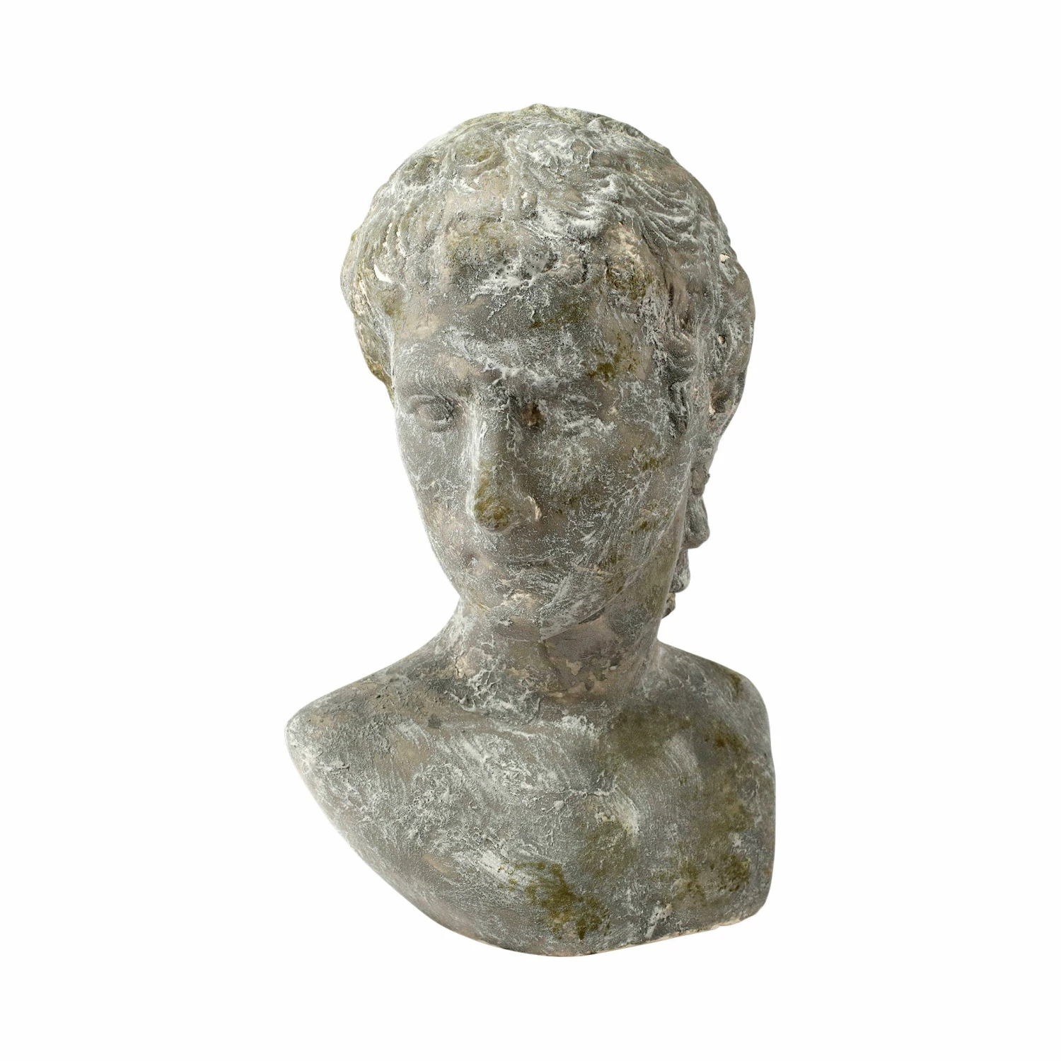 Best reviews of β€οΈ VIETRI Carrara Roman Bust π