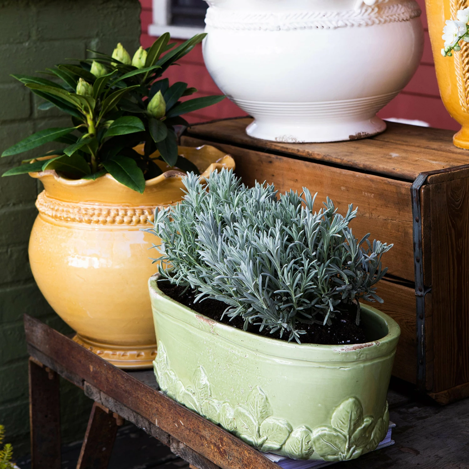 Flash Sale π VIETRI Rustic Garden Pistachio Basil Oval Planter π - Image 3