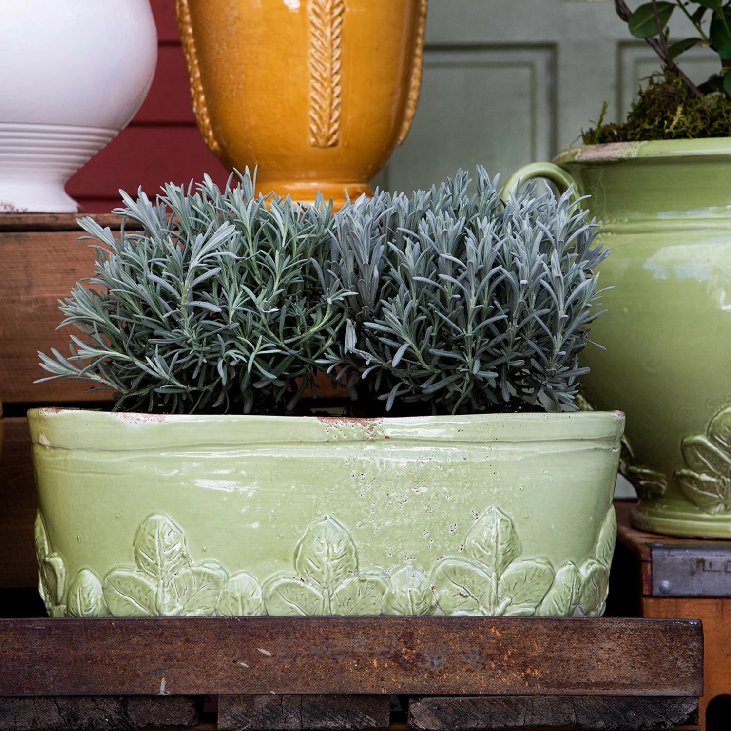 Flash Sale π VIETRI Rustic Garden Pistachio Basil Oval Planter π - Image 2